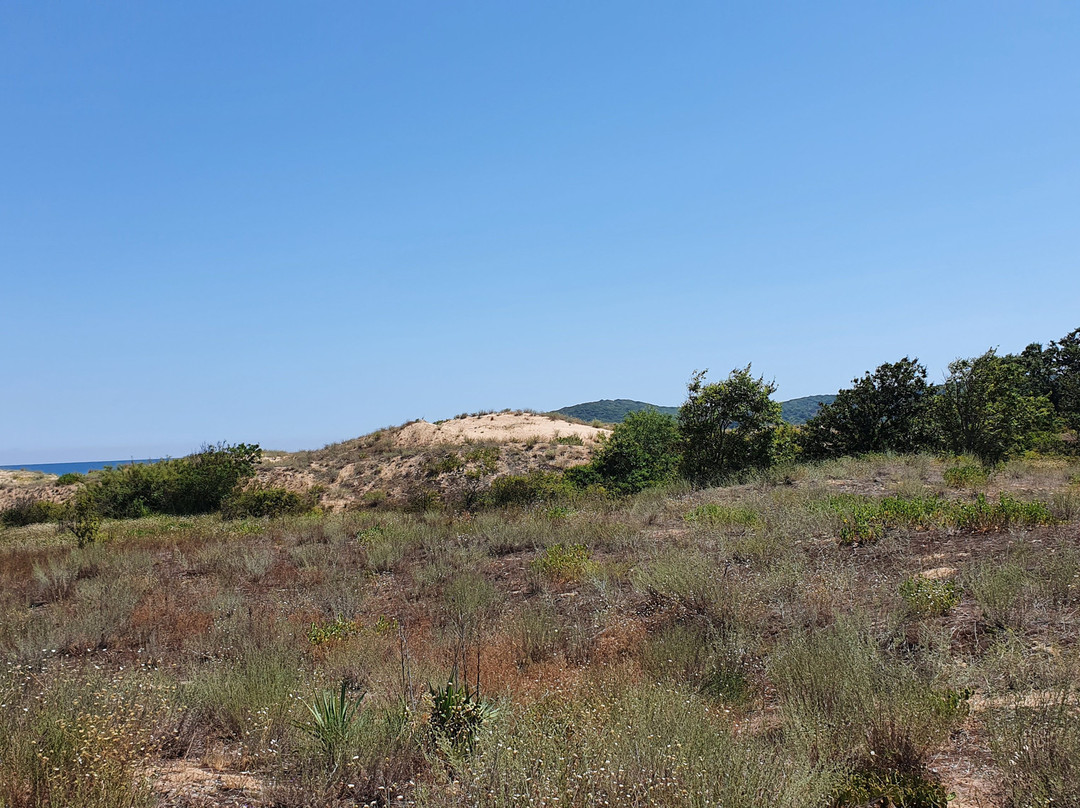 Arkutino Beach-普里莫斯科必去景点