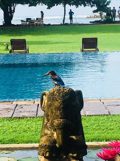 杰特威阿玛罗度假村主图