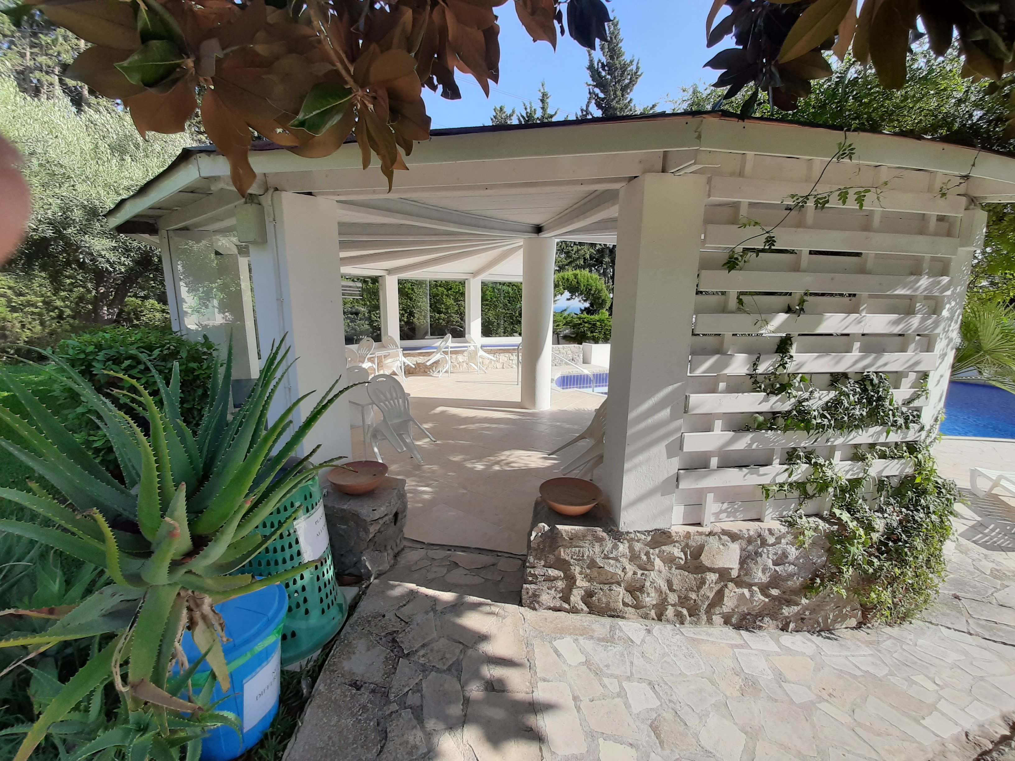 Villa Aurea Bed & Breakfast-泳池