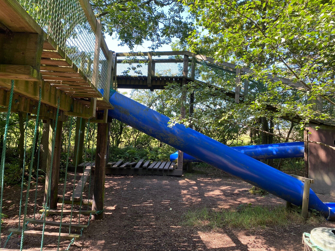 Broom House Farm Forest Adventure-Witton Gilbert必去景点