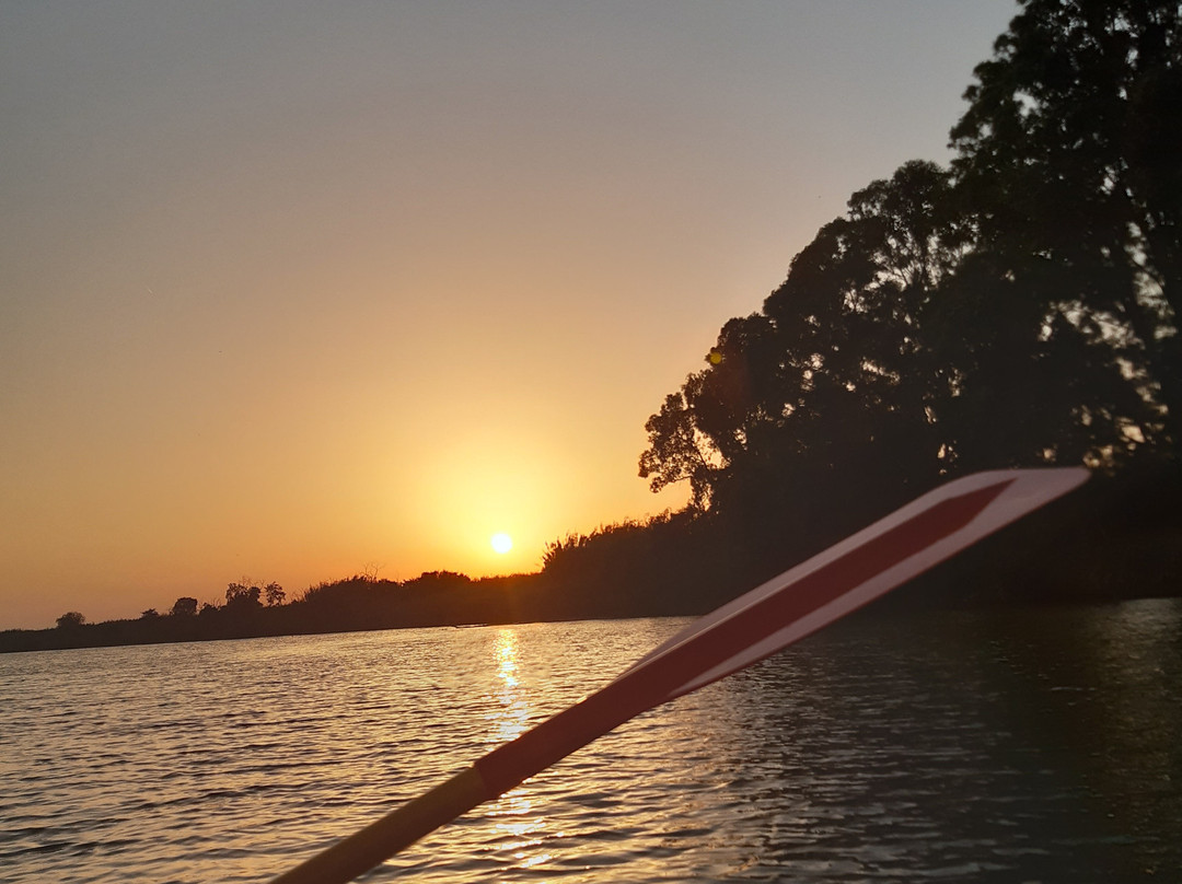 Canoe nel Parco della Maremma景点图片