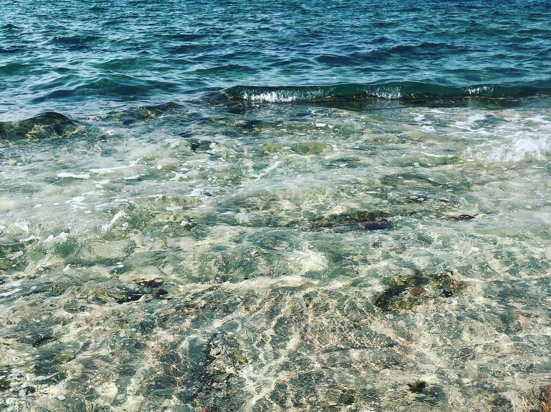 Shuweihat Island-Ruwais必去景点