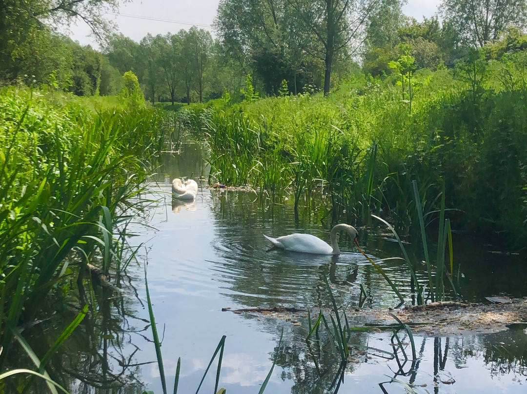 Whetmead Nature Reserve景点图片