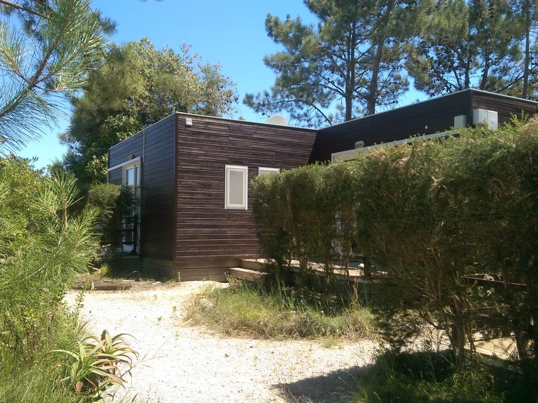 Quinta Dos Amarelos主图