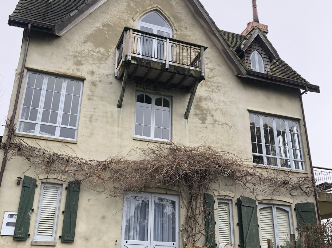 The French Country House主图