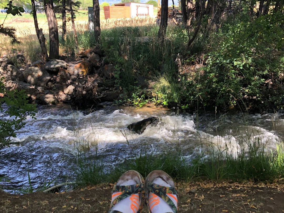 Cedaredge Lodge主图