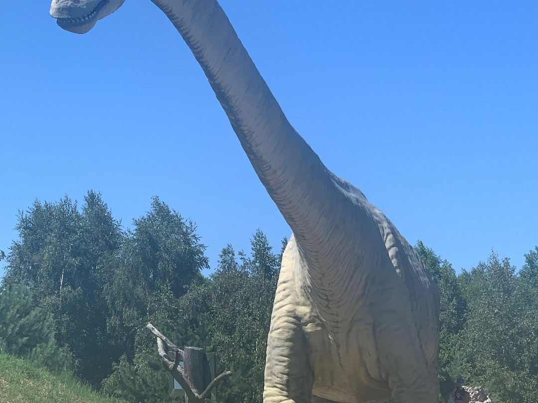 Park Dinozaurów景点图片