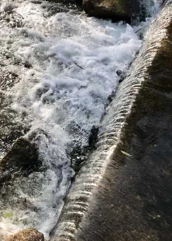 Mill Pond-Milton必去景点