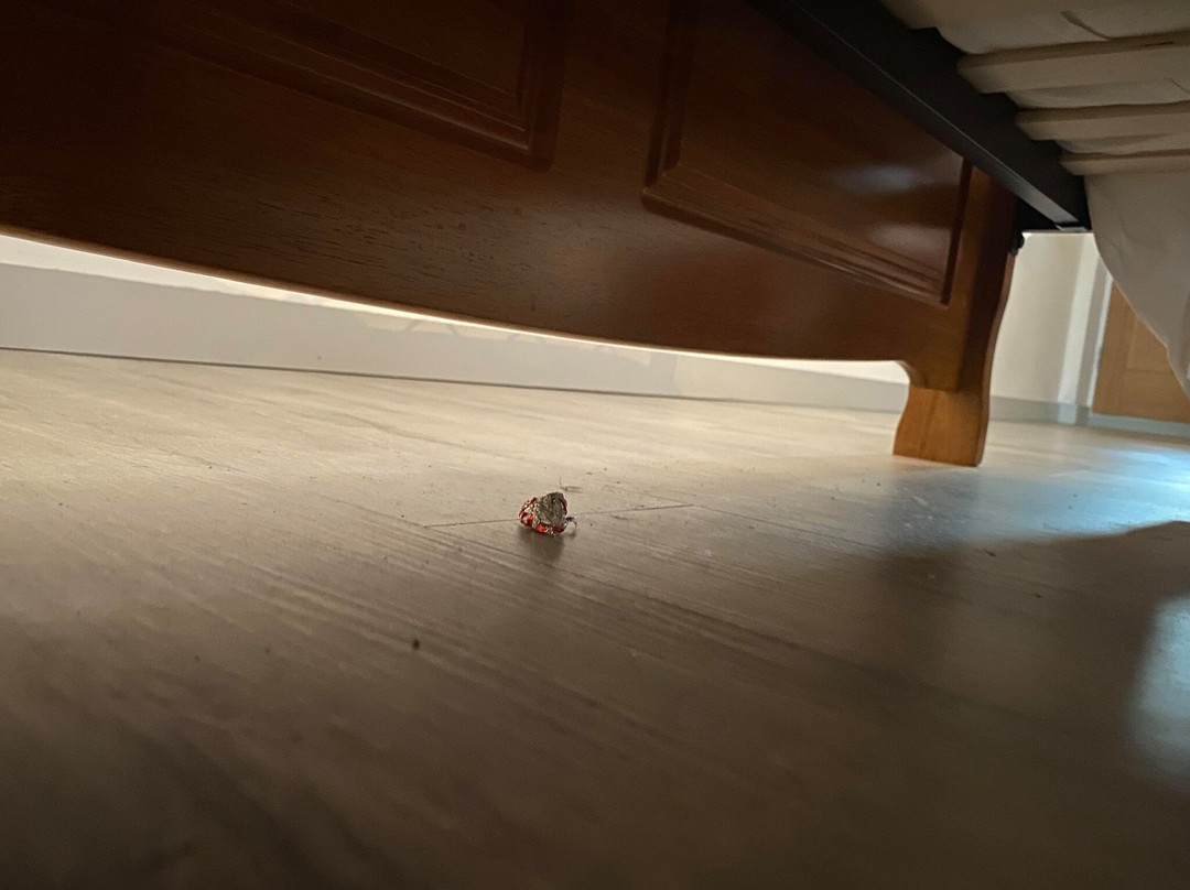 The Crown Inn at Finglesham主图