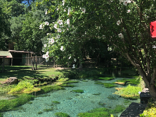 VIP Tour-瓦尔纳必去景点