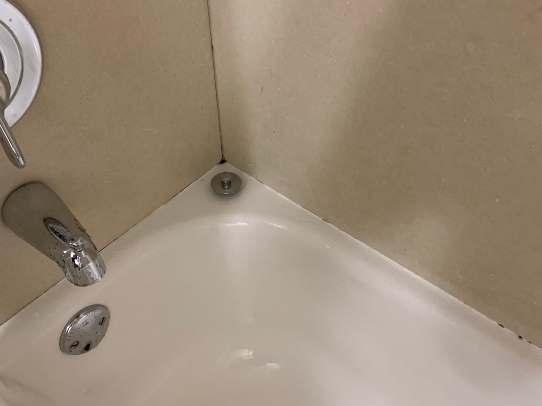 Best Western Ramkota Hotel主图