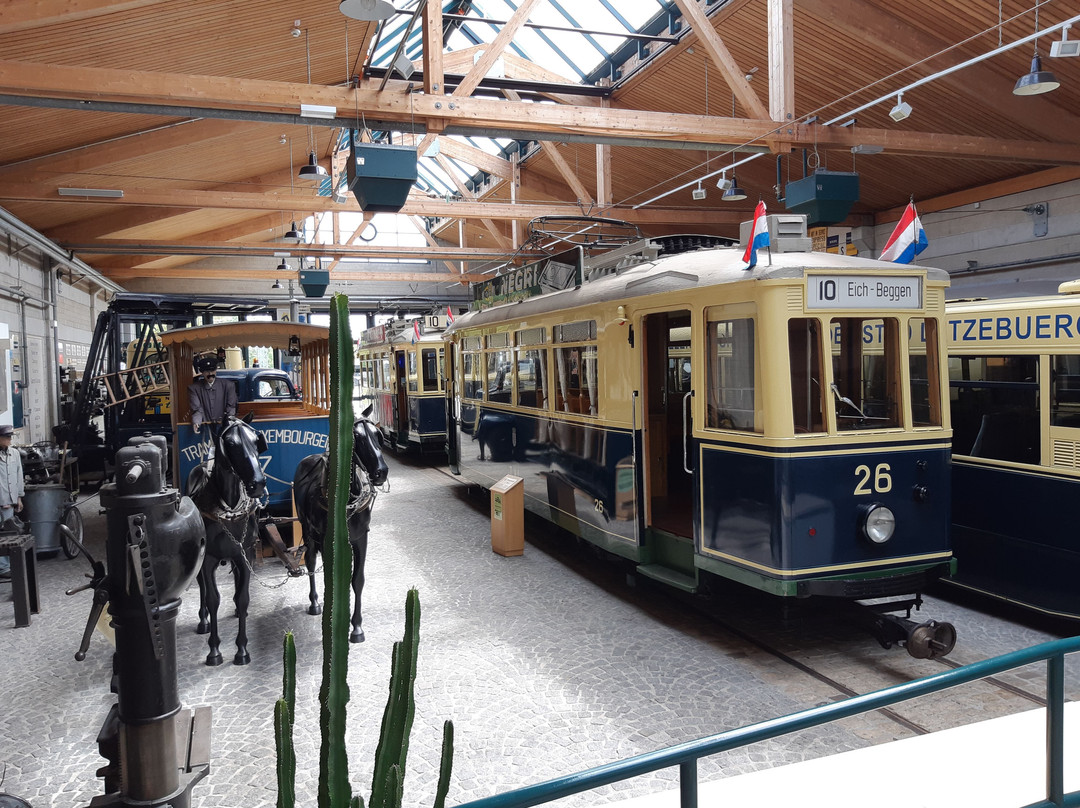 Tramway and Bus Museum-卢森堡城必去景点