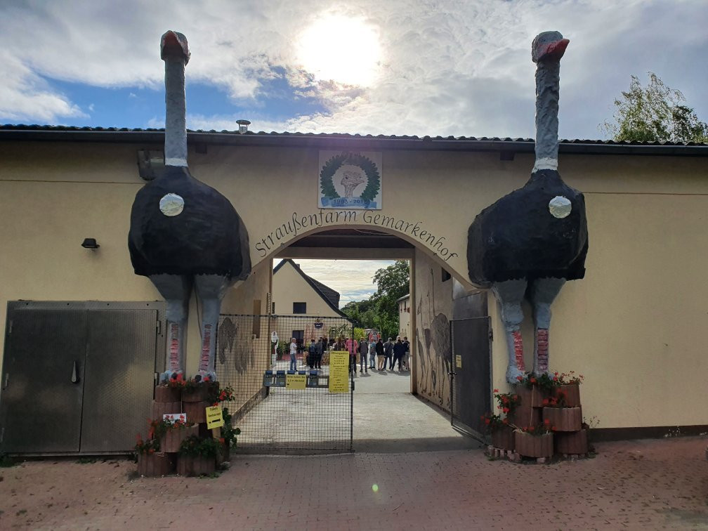 Straussenfarm Gemarkenhof景点图片