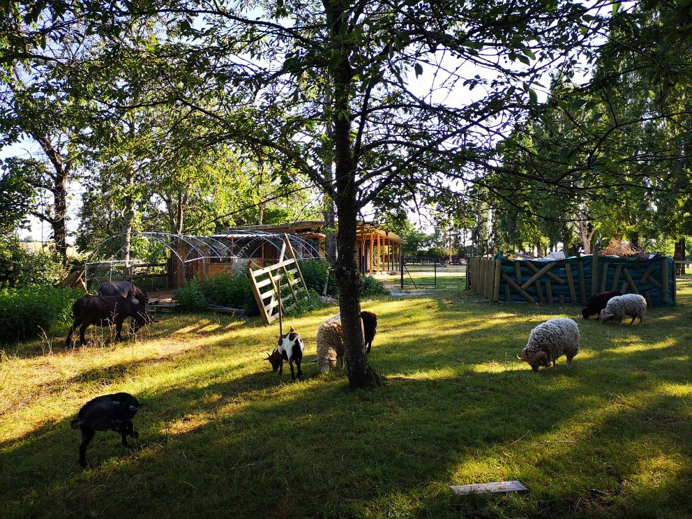 Allée des peupliers主图