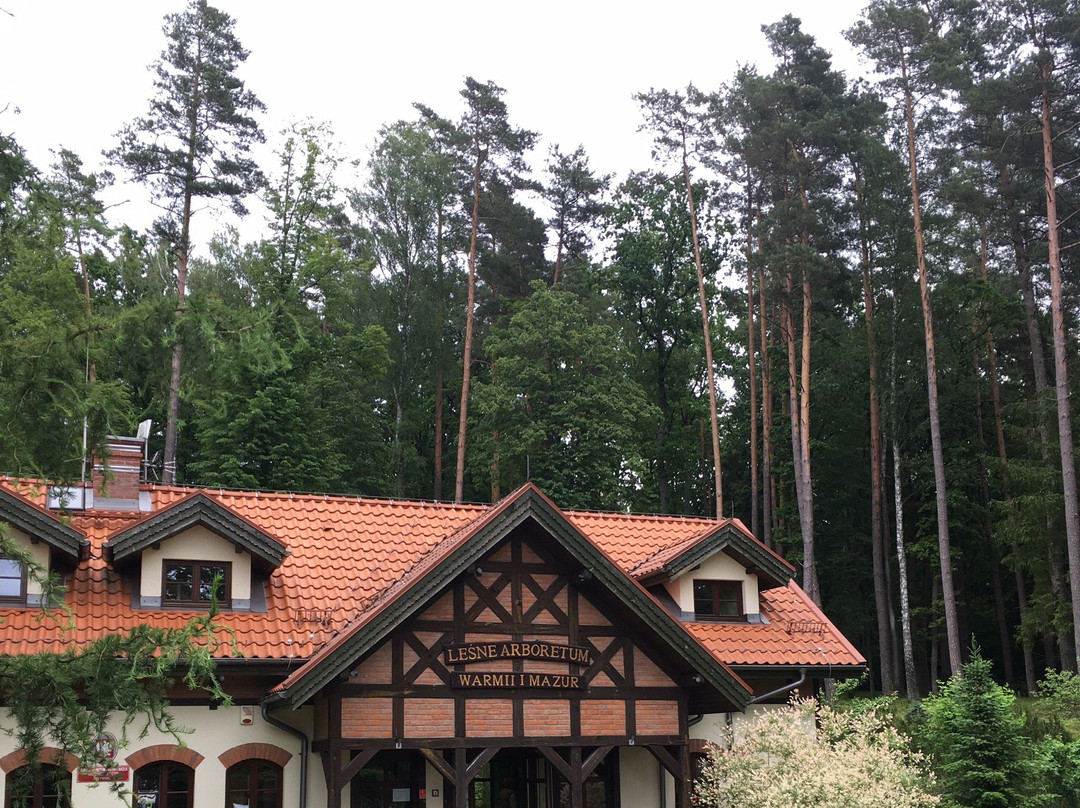 Lesne Arboretum Warmii i Mazur-奥尔什丁必去景点
