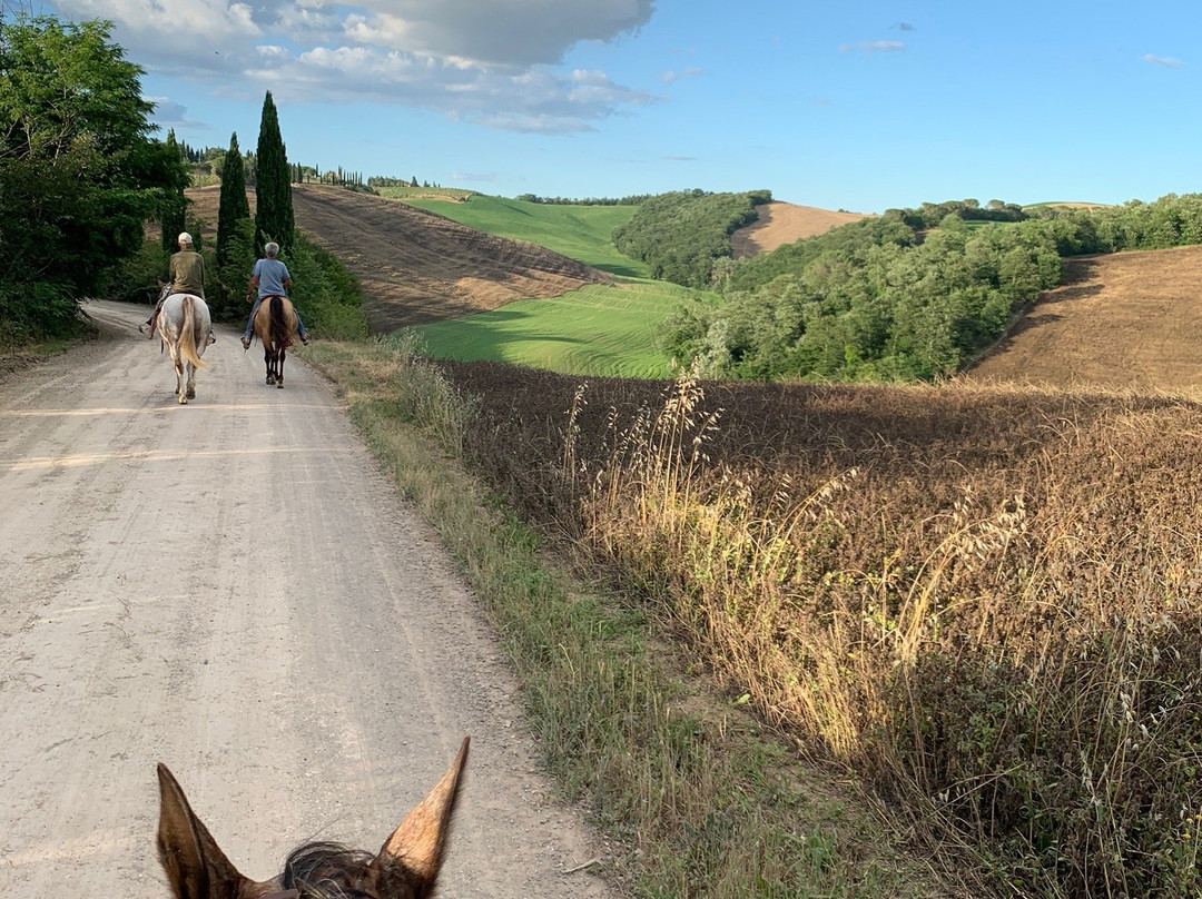 IL MISSOURI-Buonconvento必去景点