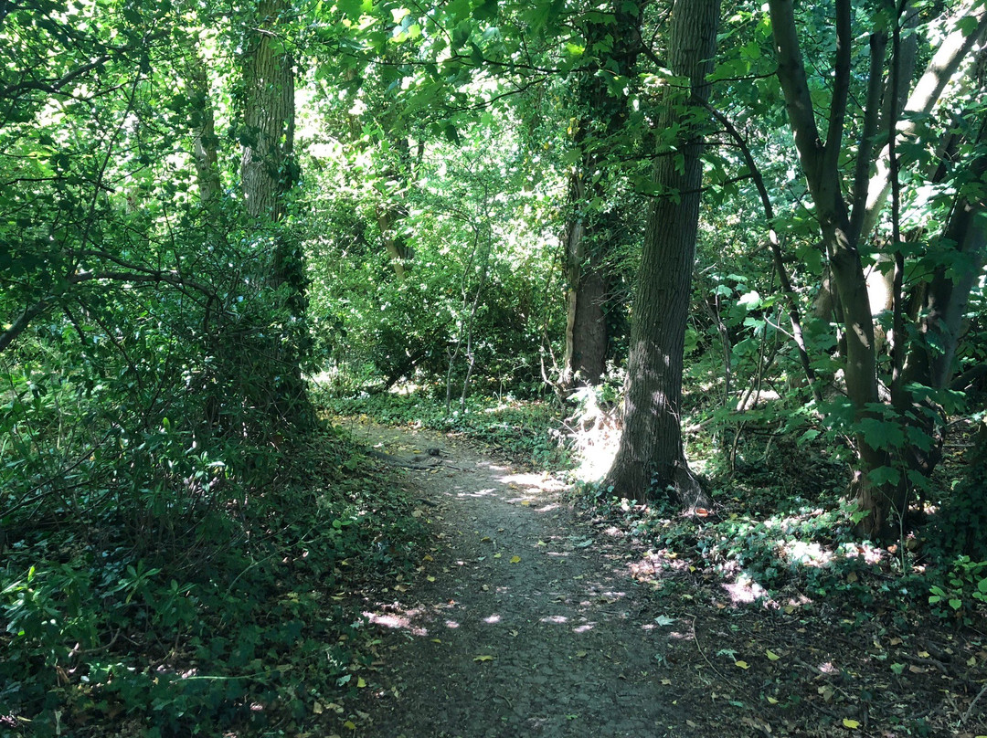 Harlton Clunch Pit and Woods-Harlton必去景点