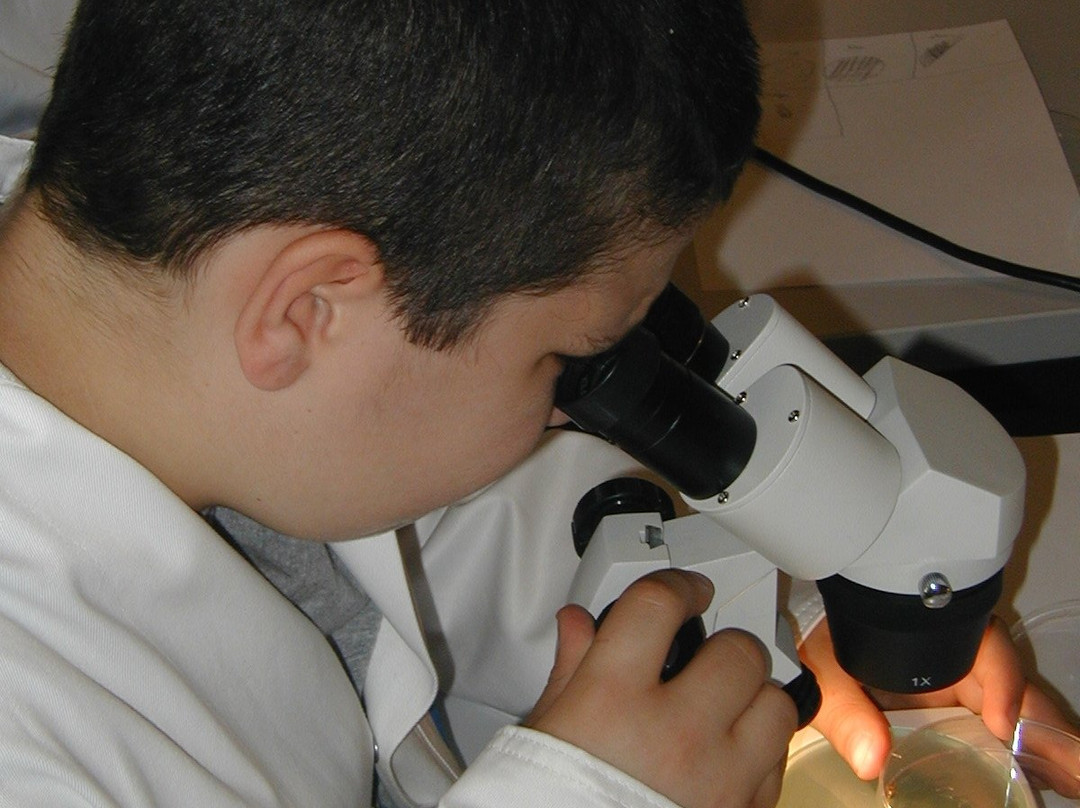 Centre de Culture scientifique de l'ULB-夏勒华必去景点