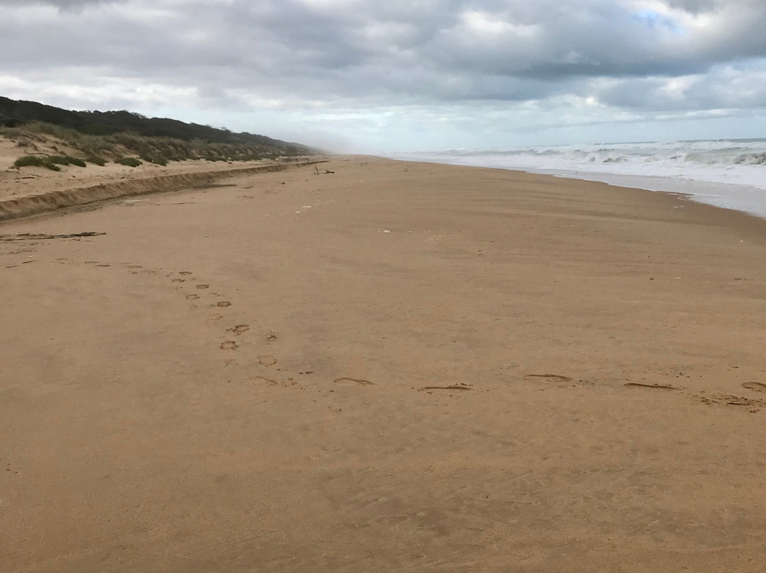 Trinculo Shipwreck-Golden Beach必去景点