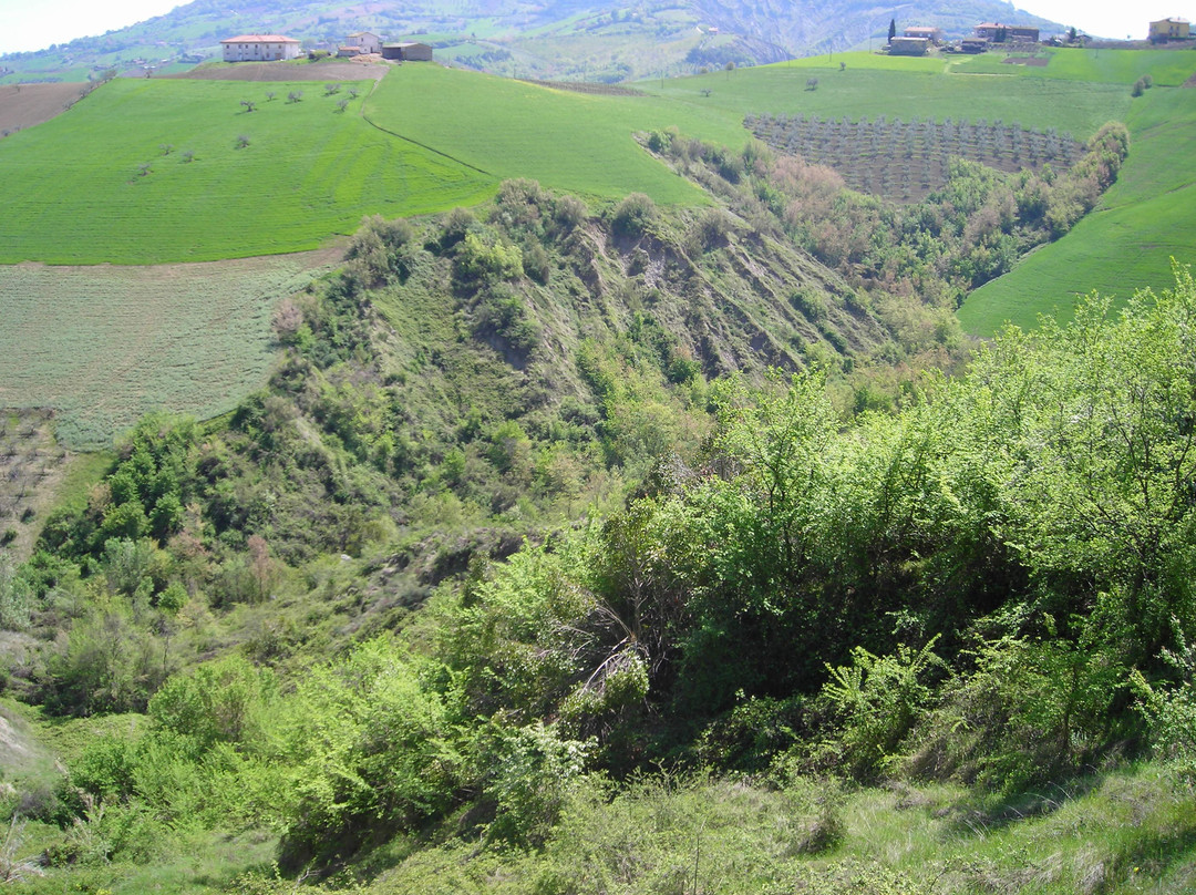 Calanchi di Atri景点图片