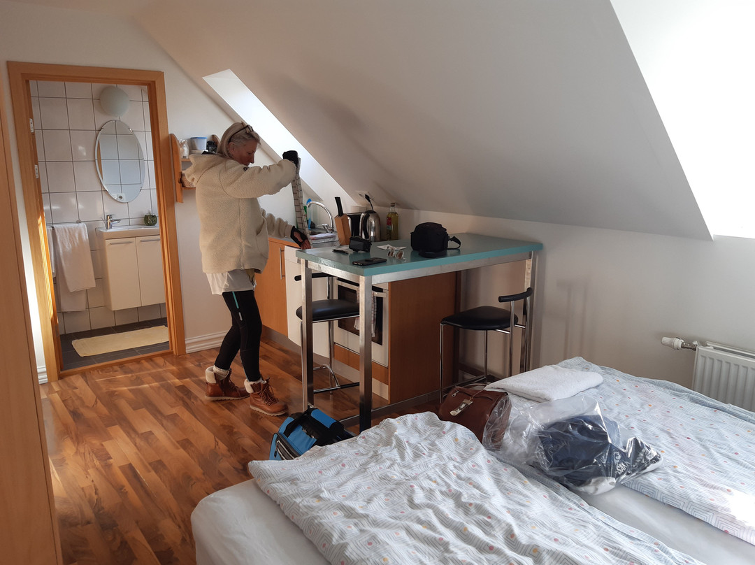 Mánagisting Guesthouse主图