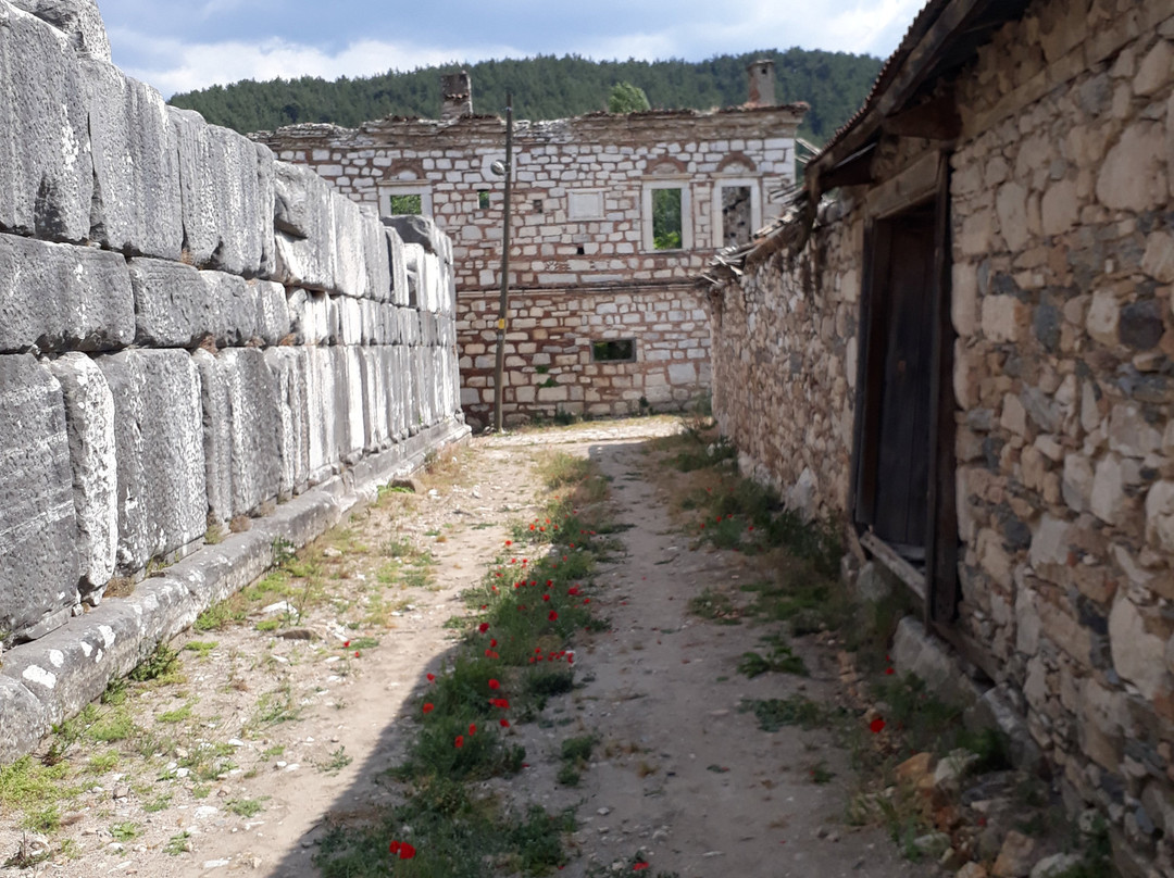 Stratonikeia Antik Kenti景点图片