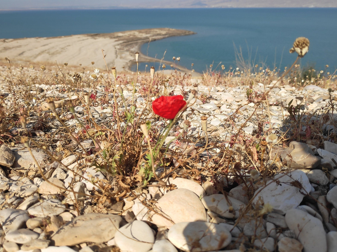 Dead Sea Bike-Kalia必去景点