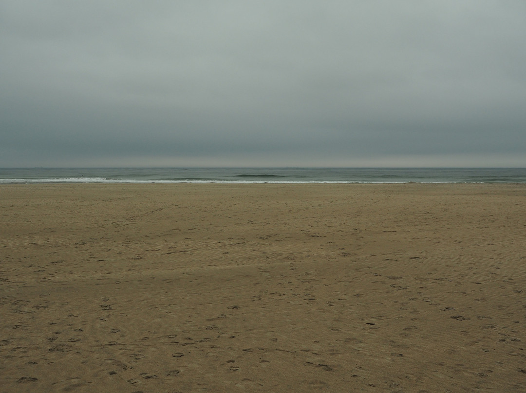 Onjuku Beach-御宿町必去景点