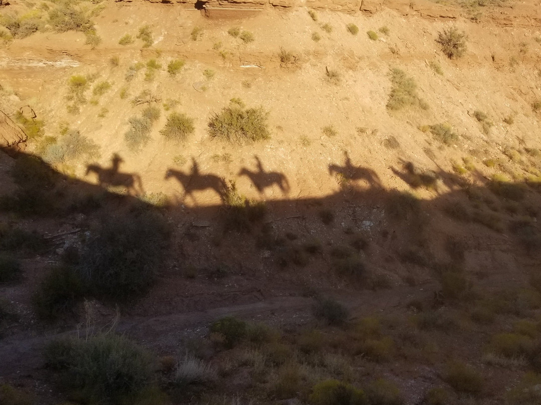 Shelleys Custom Horse Tours