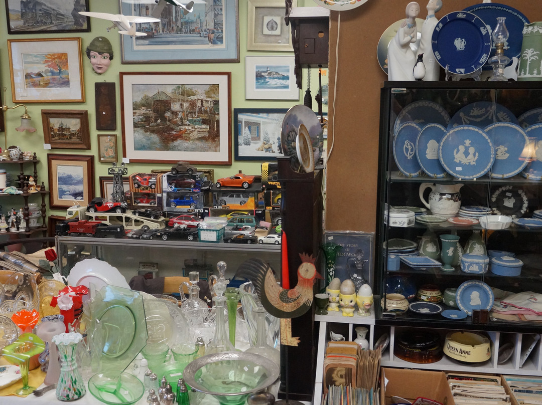 The Rare Bird Antiques景点图片
