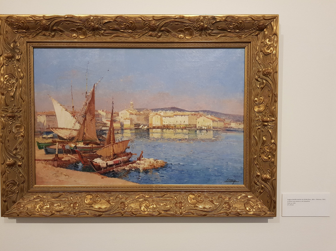Musée Ziem景点图片