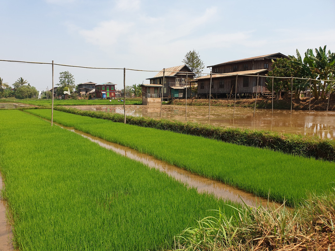 Maing Thouk Village-Nyaungshwe必去景点