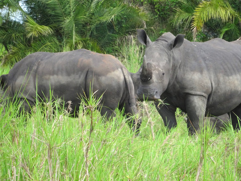 Wild Experience Africa-Wakiso必去景点
