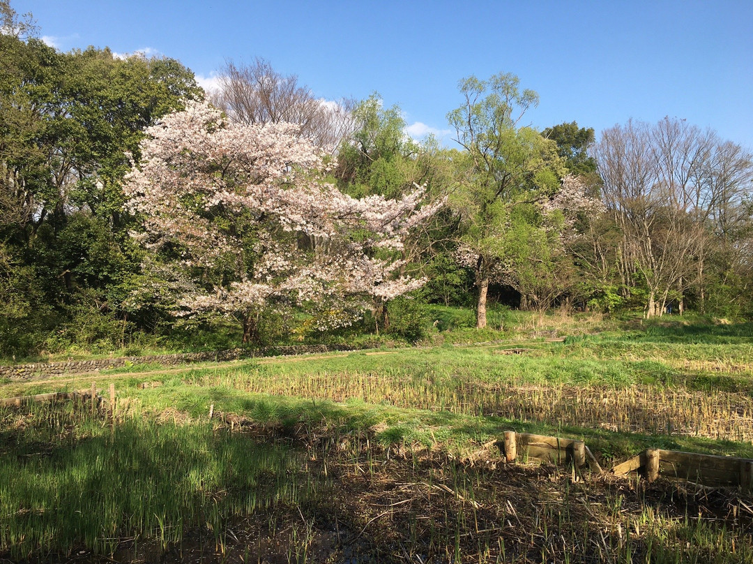 Yagawa Ryokuchi Park-立川市必去景点