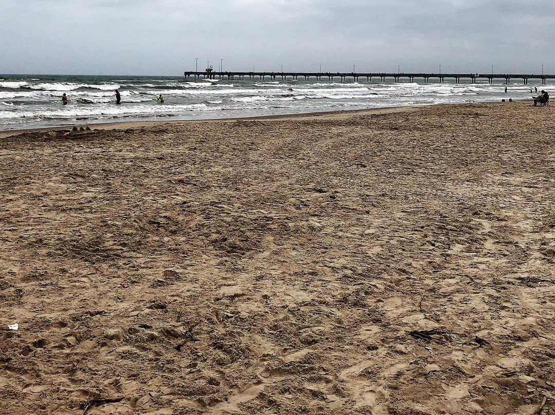 Padre Balli Park-科珀斯克里斯蒂市必去景点