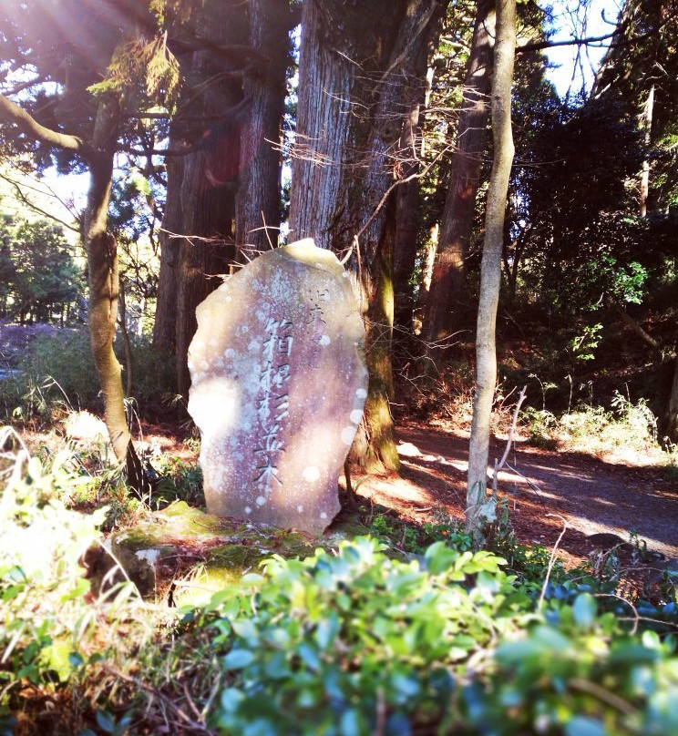 箱根旧石铺路-箱根町必去景点