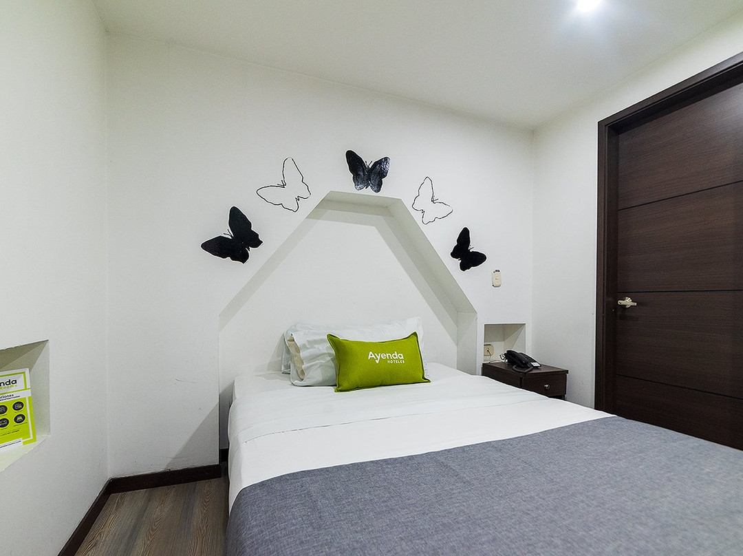 Hotel Ecoferia Boutique主图