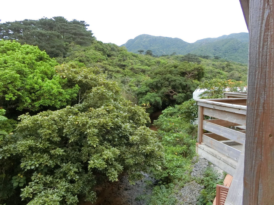 Jungle Hotel Painu Maya主图