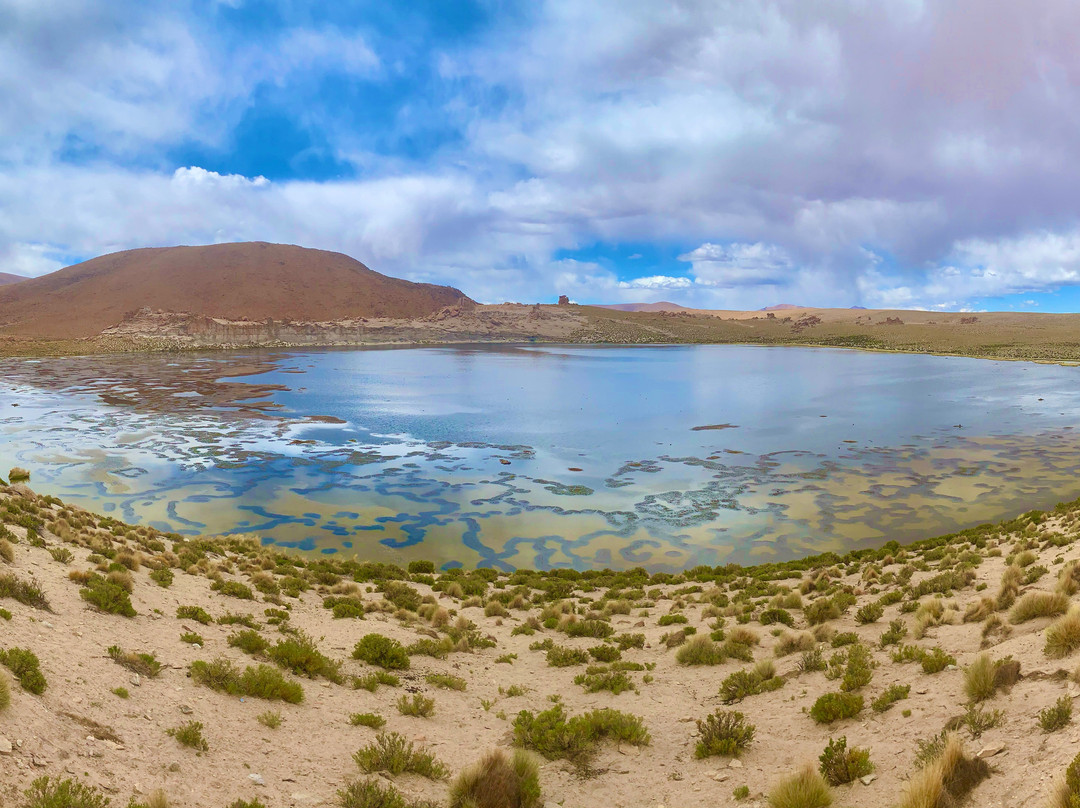 Laguna Hedionda景点图片