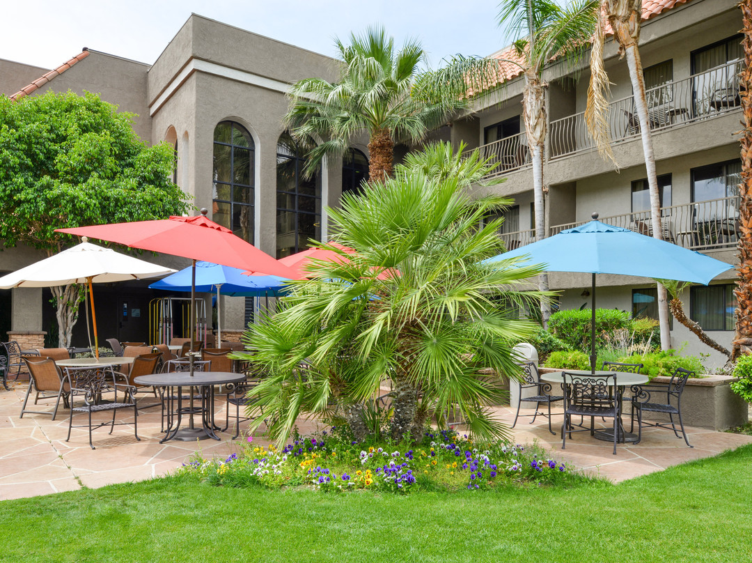 棕榈沙漠智选假日酒店主图