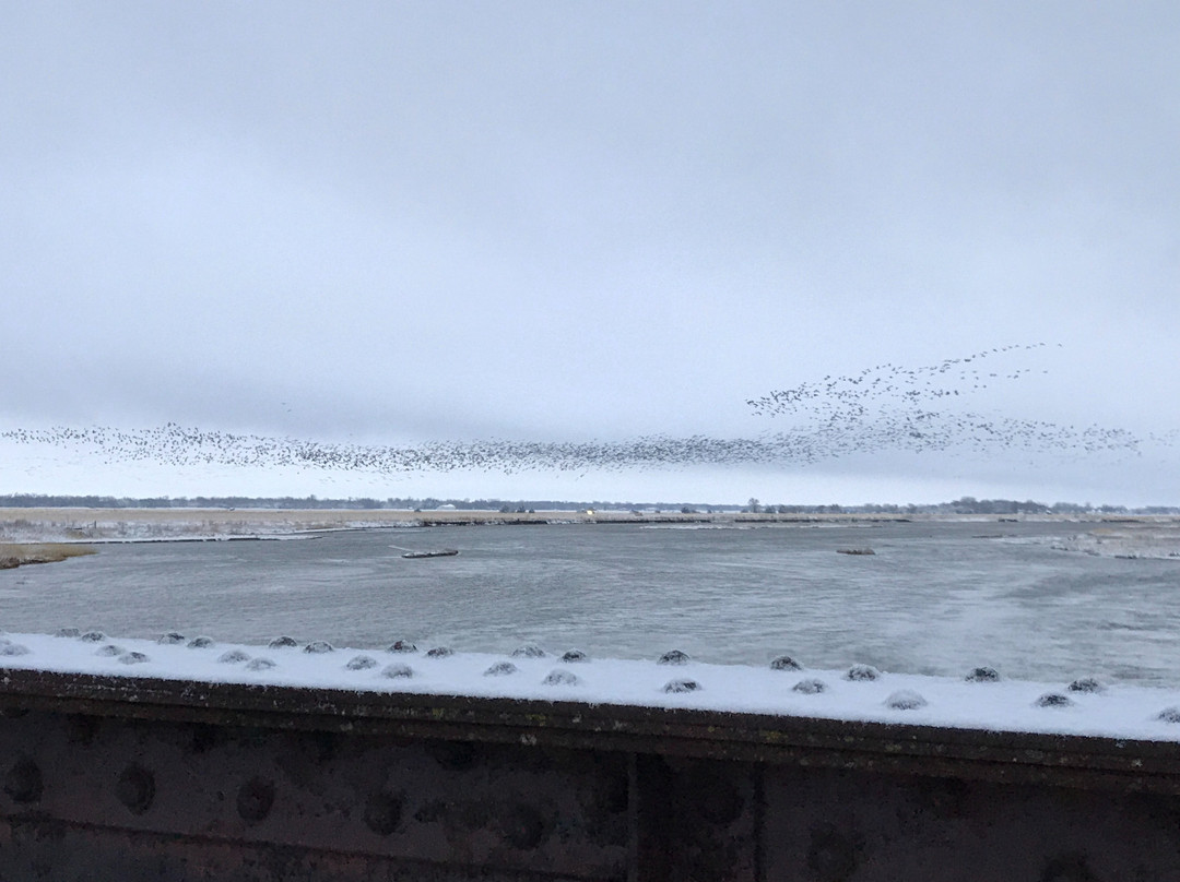 Hike-Bike Trail Bridge-卡尼必去景点
