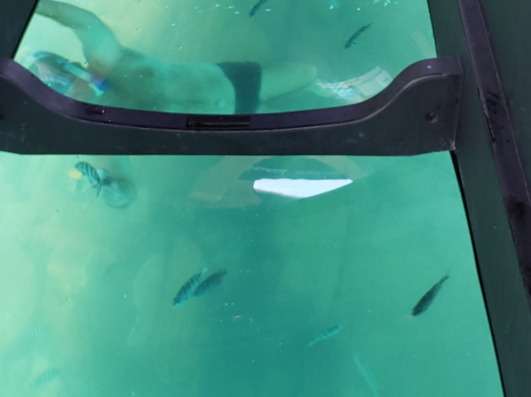 Barquario-乌巴图巴必去景点