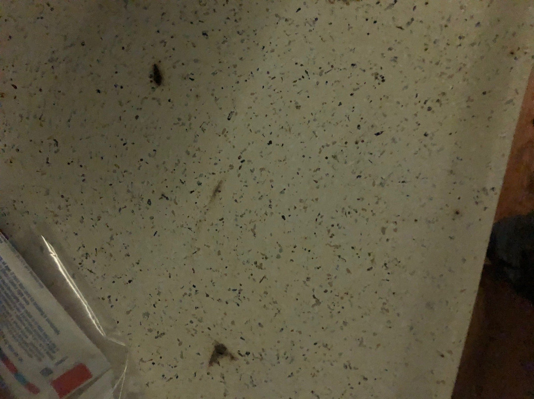 Winter Haven Gardens Inn & Banquet Center主图