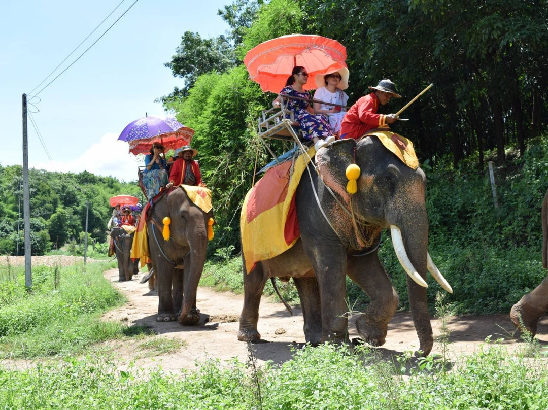 Chang Puak Camp Chiang Rai-清莱必去景点