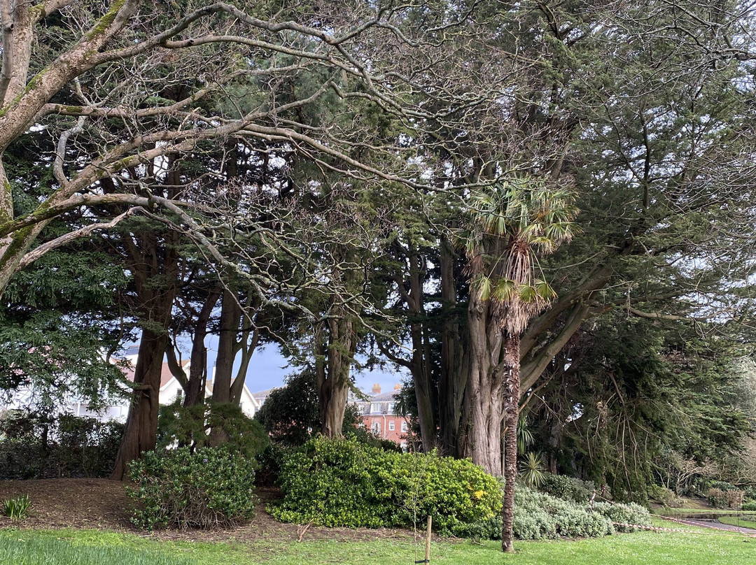 Blenheim Gardens景点图片
