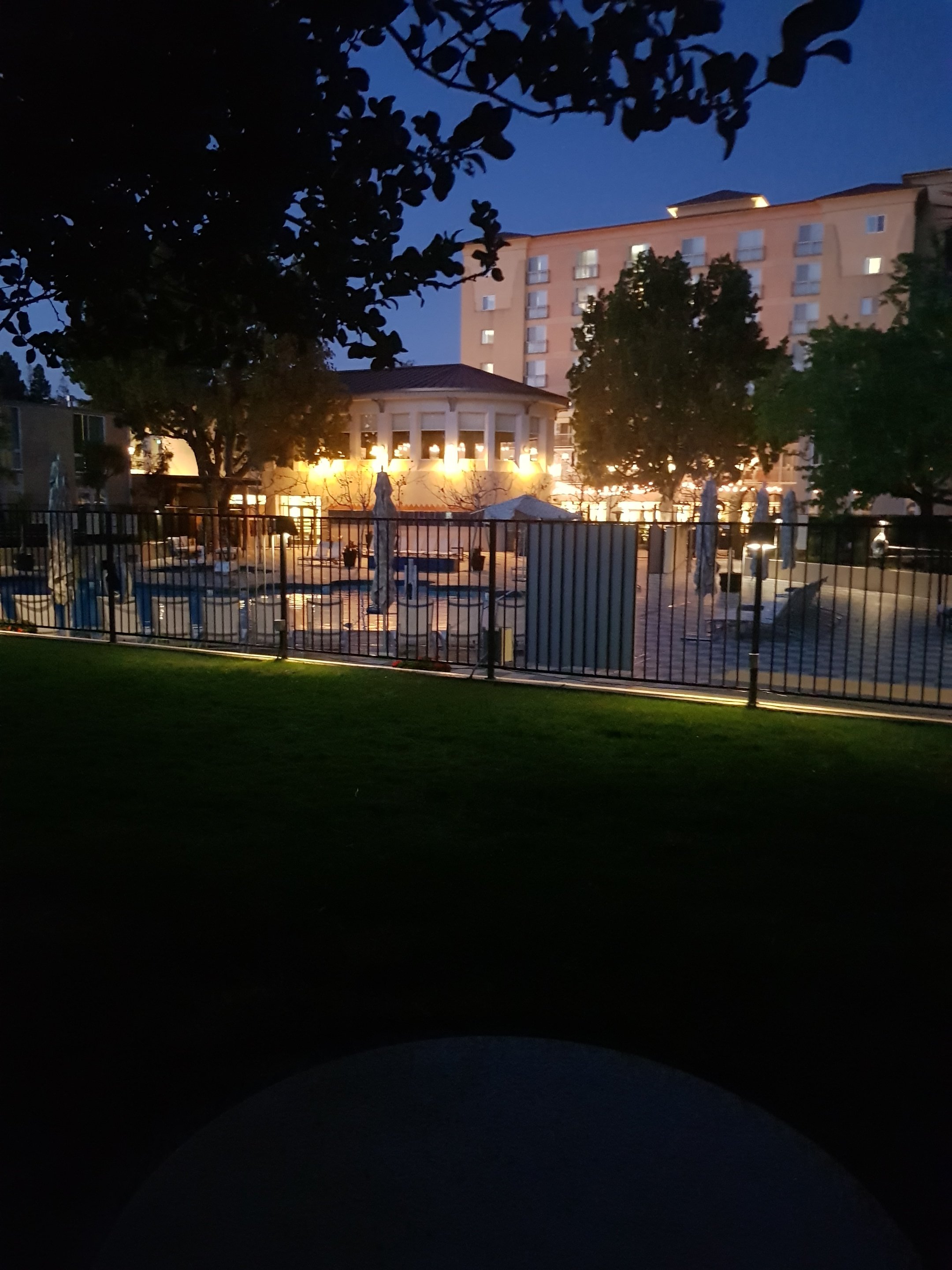 帕洛阿尔托皇冠假日酒店-portrait