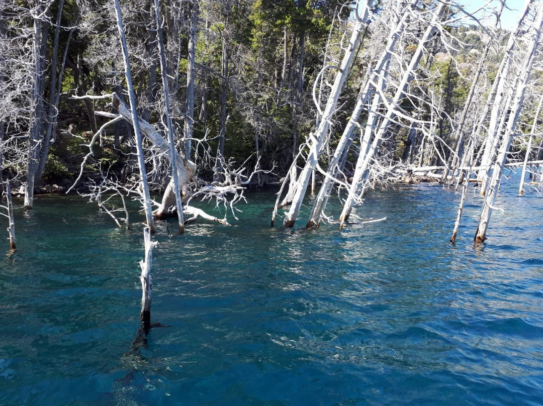 Bosque Sumergido-Villa Traful必去景点
