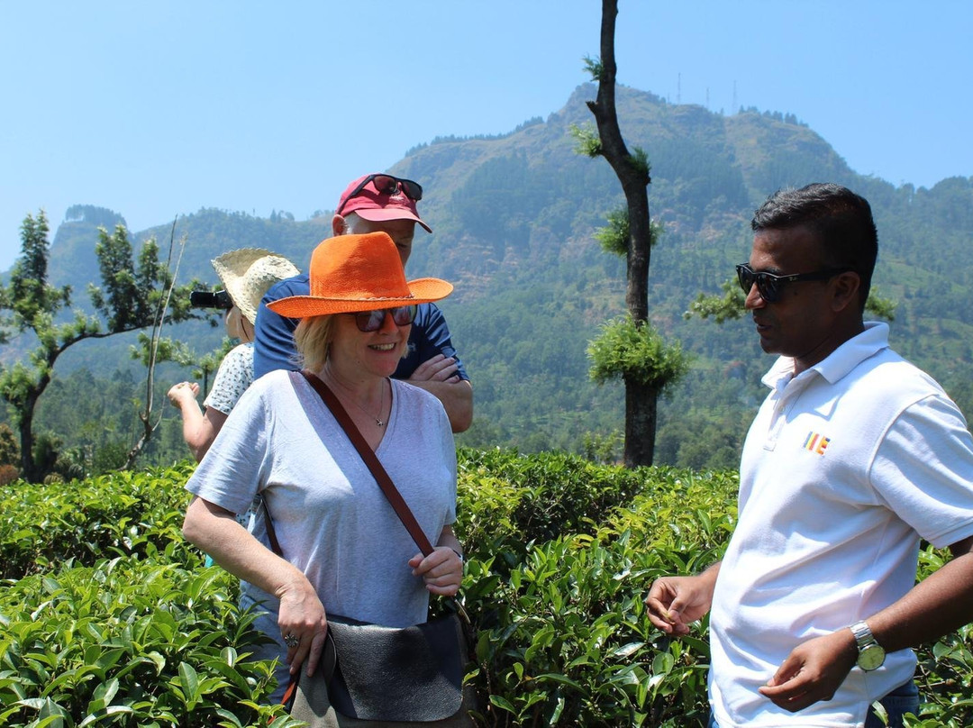 Tour To Sri Lanka景点图片