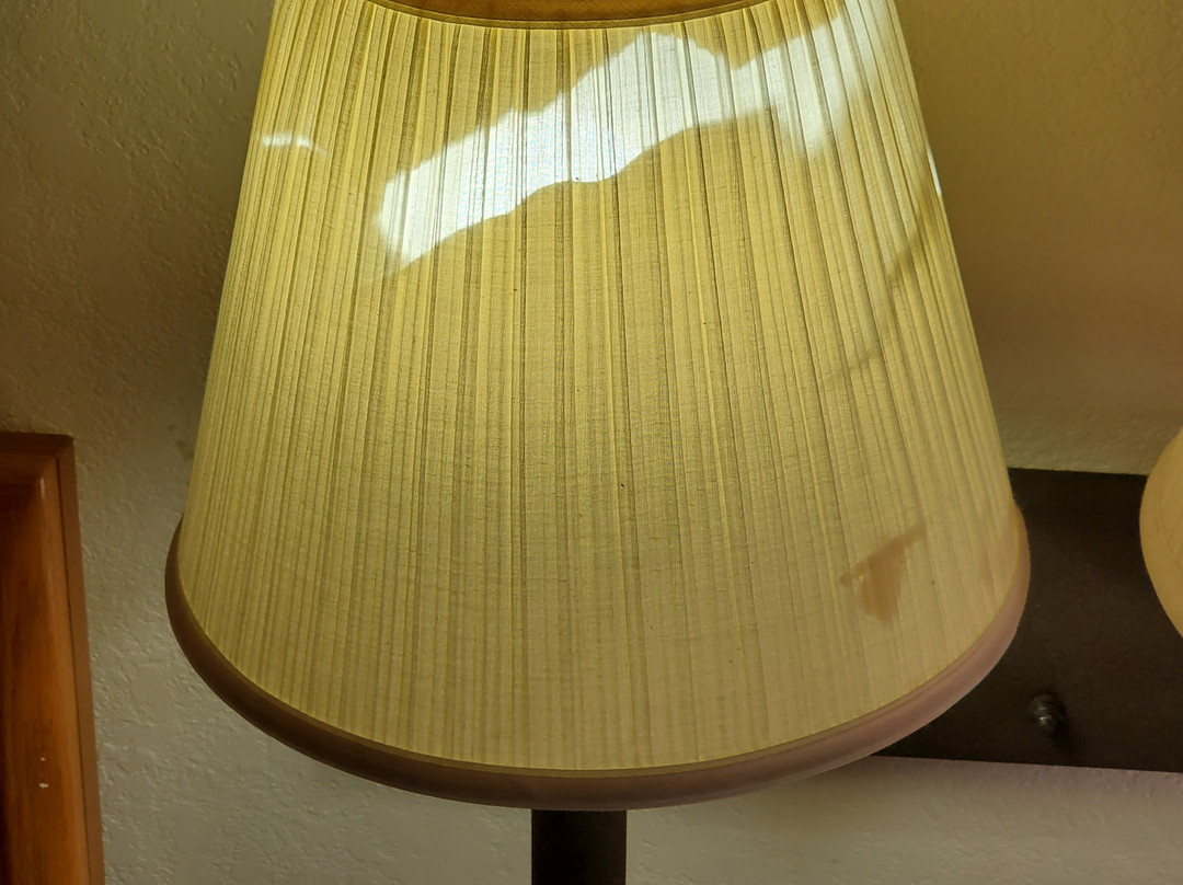 弗里蒙特戴斯酒店主图