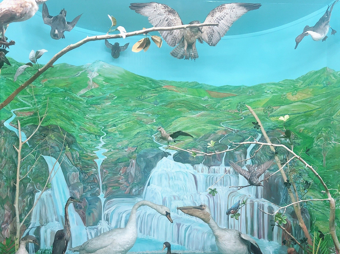 Edirne Archeology Museum-Edirne必去景点